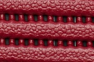 Cranberry