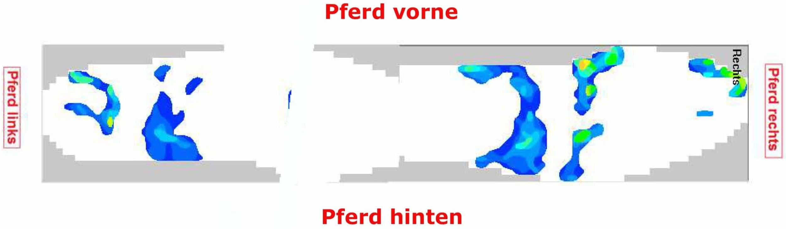 Druckmessung Sattelgurt Druckmessung Sattelgurt