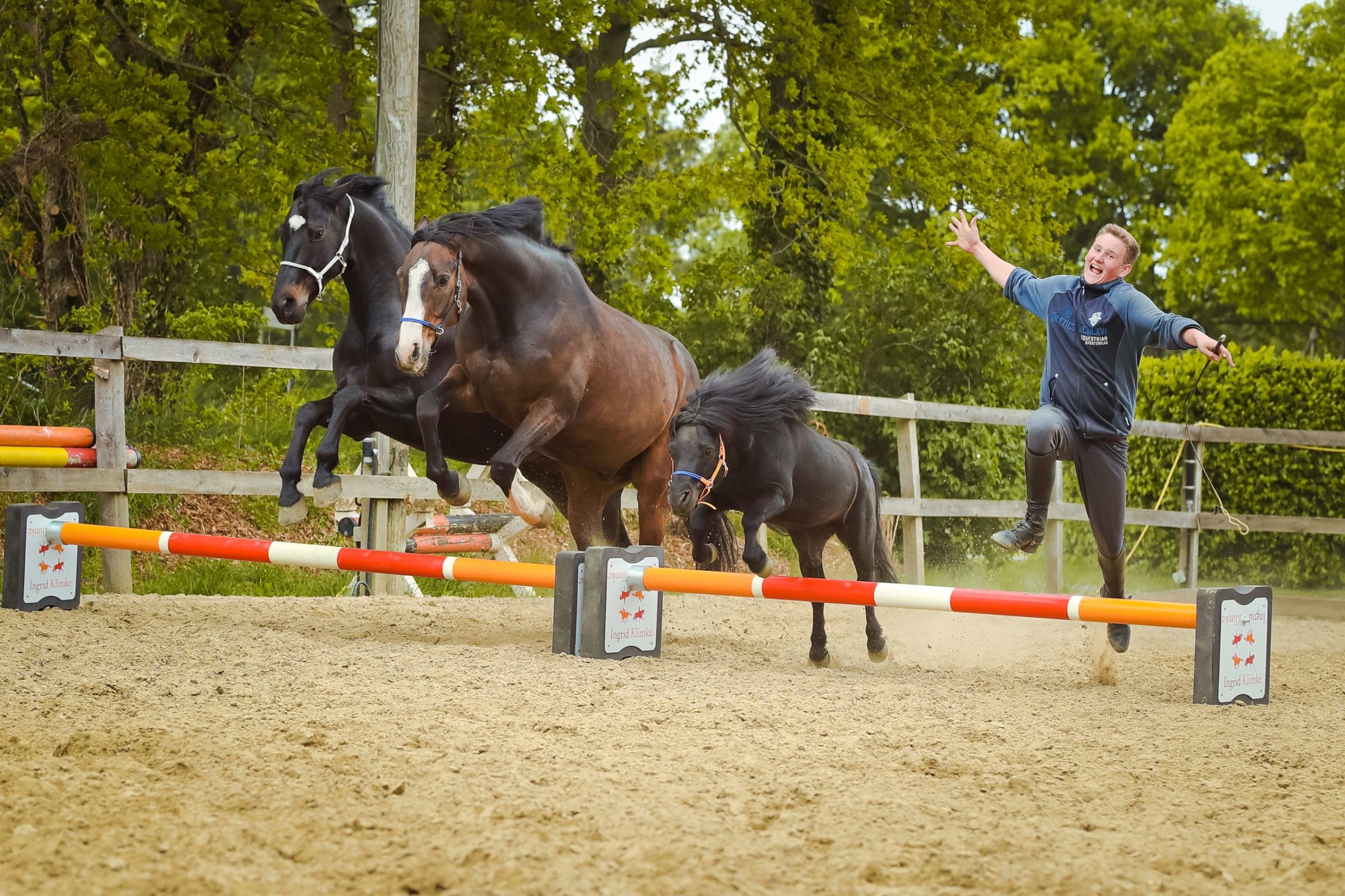 Equimero360