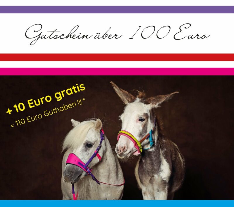 110_Euro_Gutschein