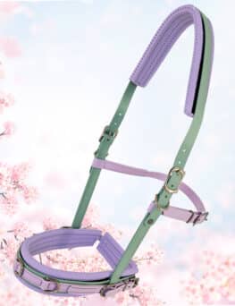 Equizaum®-Limited Frühling