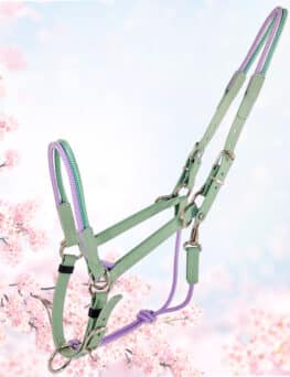 Taomero®-Limited Frühling