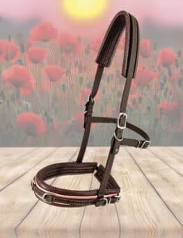 Equizaum®-Limited Sommer