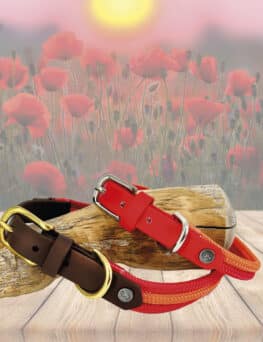 Seilhalsband-Limited Sommer