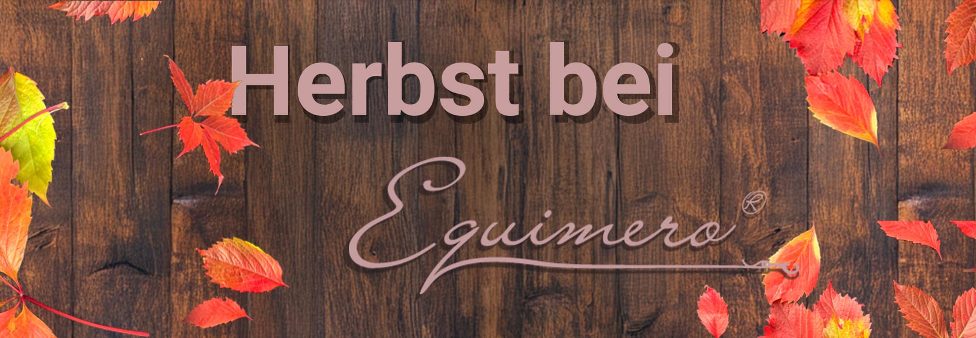 Farbaktion HERBST 2025 Breites Bild- schmal