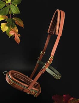 Equizaum®-Limited Herbst
