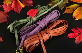 Shopbilder Herbst Farbaktion6