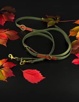 Hundeleine-Limited Herbst