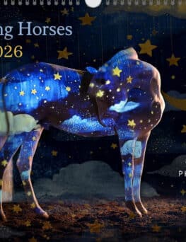 Andrea Zachrau - Kalender "Beaming Horses 2026"